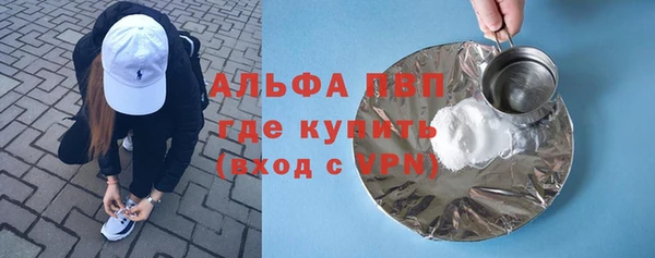 хмурый Аркадак