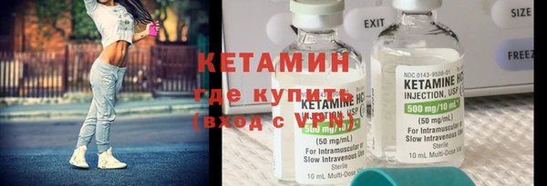 хмурый Аркадак