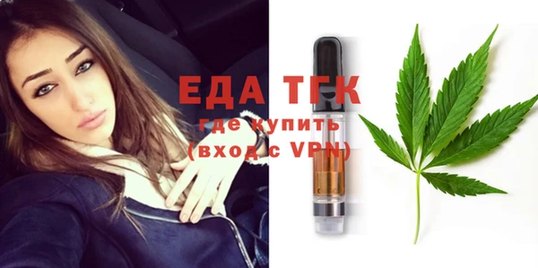 хмурый Аркадак
