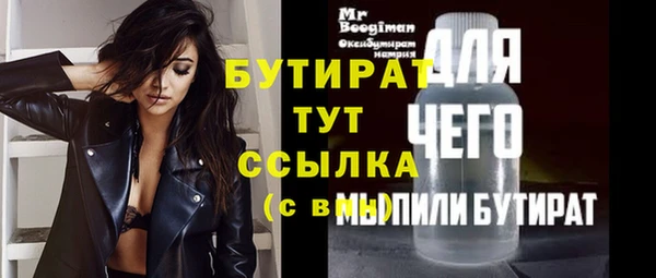 хмурый Аркадак