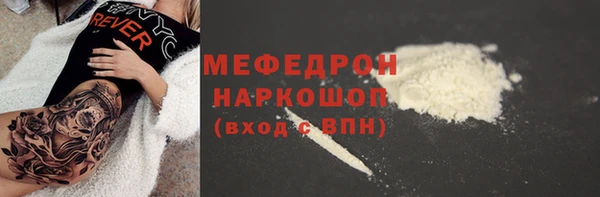 хмурый Аркадак
