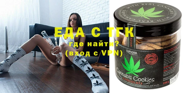 хмурый Аркадак