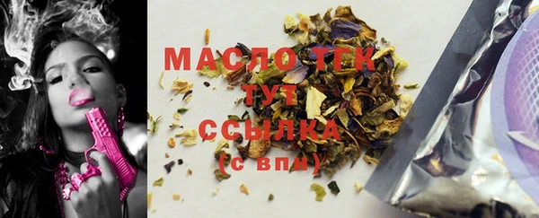 хмурый Аркадак
